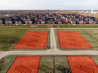 Vrije kavels de Slagen 7951 Staphorst