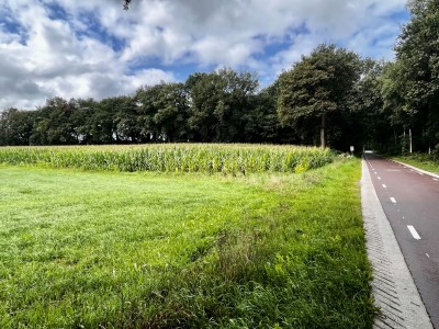 Bouwgrond Hessenweg West 14 A