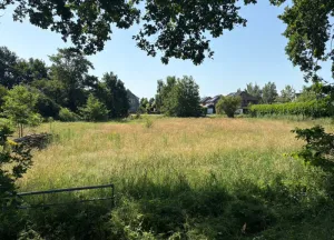Bouwgrond Roomsterweg 12-A