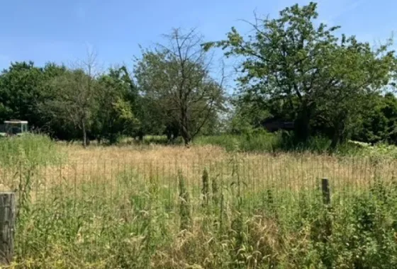 Bouwgrond Bongard 8-A