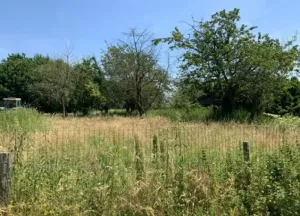 Bouwgrond Bongard 8-A