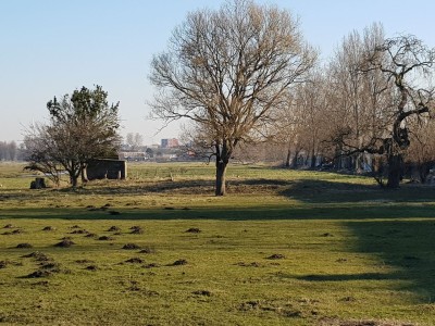 Bouwgrond Osdorperweg 532