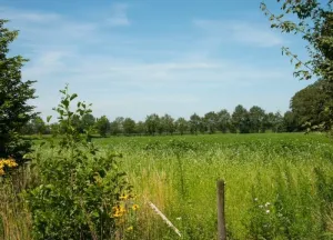 Bouwgrond Kortenroelefsweg 2