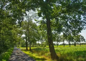 Bouwgrond Kortenroelefsweg 2
