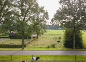 Bouwgrond Witvenstraat