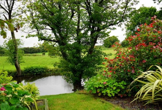 Geniet van natuur ook in uw tuin - 