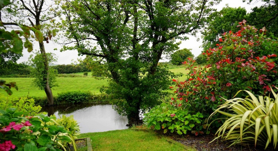 Geniet van natuur ook in uw tuin