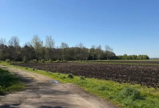 Bouwgrond Boslaan - kavel : 1- 2 -3.