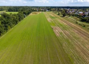 bouwgrond: ZUIDPOORT TERHEIJL. (Bouwnummer 1 en 25 en 28 verkocht)