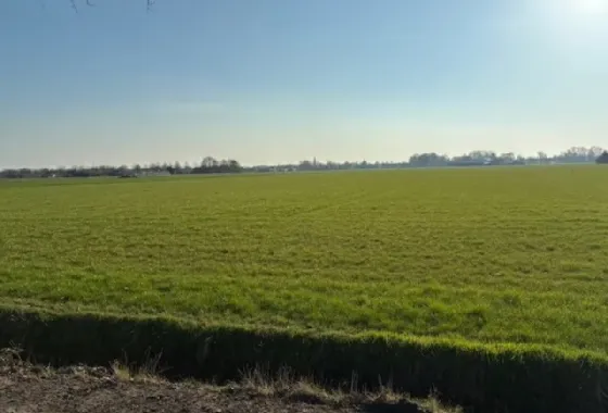 Bouwgrond Nieuweweg