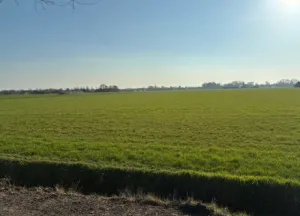 Bouwgrond Nieuweweg