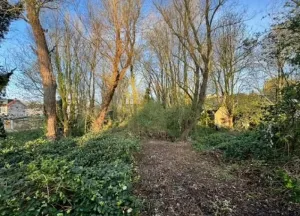 Bouwgrond Zuidendijk