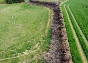 Bouwgrond Rotscherweg 38