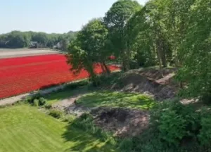 Bouwgrond Bekslaan