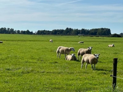 Bouwgrond Mensumaweg 37 -1