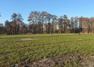 Bouwgrond De Geasten kavel 1-2-3.