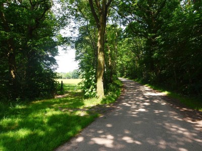 Bouwgrond Oude Boerenweg 3