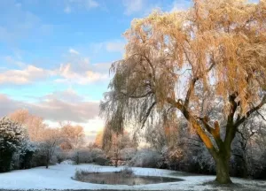 Bouwgrond Fiifhuzen