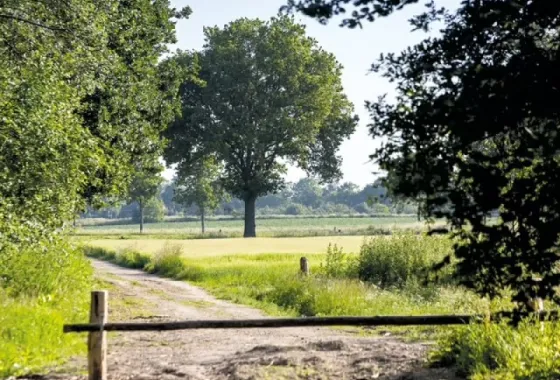 Bouwgrond Romenkamp