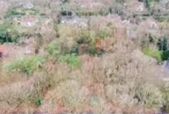 Bouwgrond Schouwweg