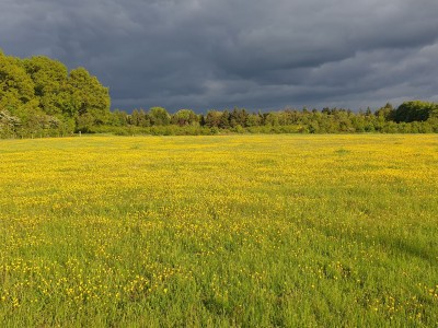 Bouwgrond Zandspoor 2 perceel 2