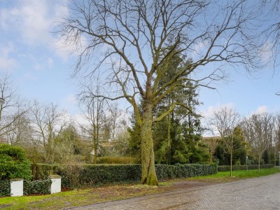 Bouwgrond Blokvenlaan