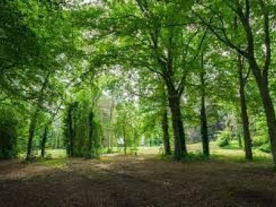 Bouwgrond Kerstenpark Villa Nobilis kavel 4 en 6