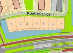 Bouwgrond Koekoeksbloem