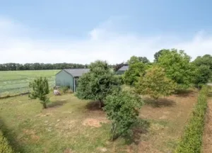 Bouwgrond Koekoek