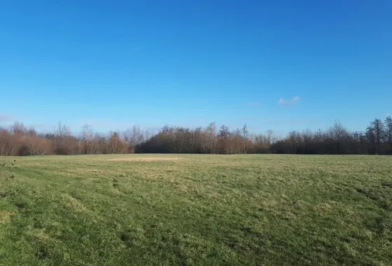 Bouwgrond Laan van Westerhout (Boseilanden Zuid)
