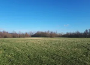 Bouwgrond Laan van Westerhout (Boseilanden Zuid)