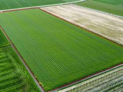 Bouwgrond Noord-Zuid