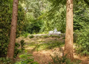 Bouwgrond Hartenseweg 11