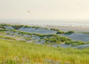 Bouwgrond : ‘Kavels Achter de Duinen’ Monster