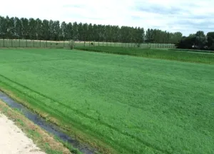 Bouwgrond Middendijk 69