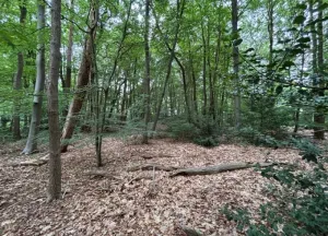 Bouwgrond Prins Hendriklaan 7