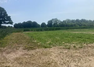 Bouwgrond Oude Postweg
