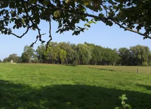 Bouwgrond Landgoed Looiwinkel.