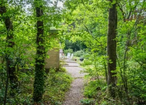 Bouwgrond Eeuwigelaan 54
