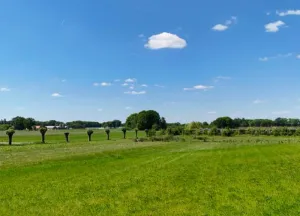 Bouwgrond Holleneind