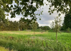 Bouwgrond Molenkampseweg 12