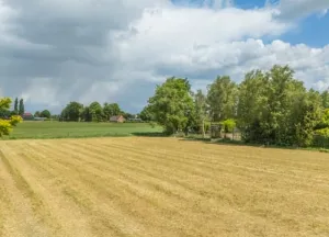 Bouwgrond Koppelwijk OZ( 30  verkocht)en 31