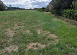 Bouwgrond Strijbeekseweg