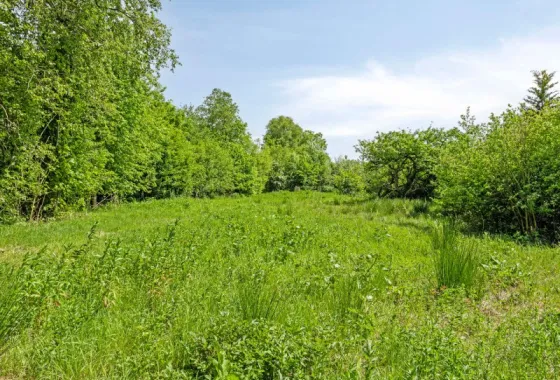 Bouwgrond West