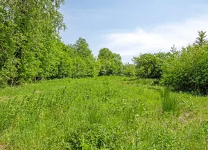 Bouwgrond West
