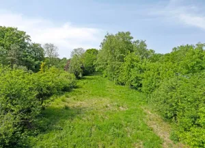 Bouwgrond West