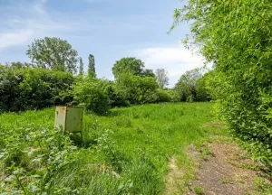 Bouwgrond West