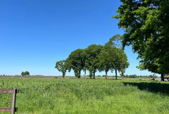 Bouwgrond Achteres kavel  I en II