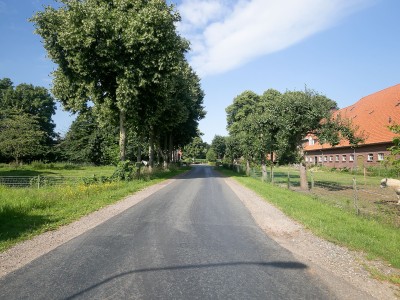 Bouwgrond Roijendijk