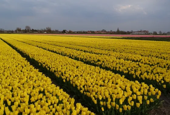 Bouwgrond Noorder Leidsevaart 26